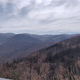 A lookout showing some of the extent of burnt land. In reality it’s so, so much more than this picture can convey